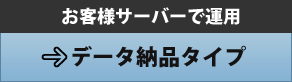 データ納品タイプ